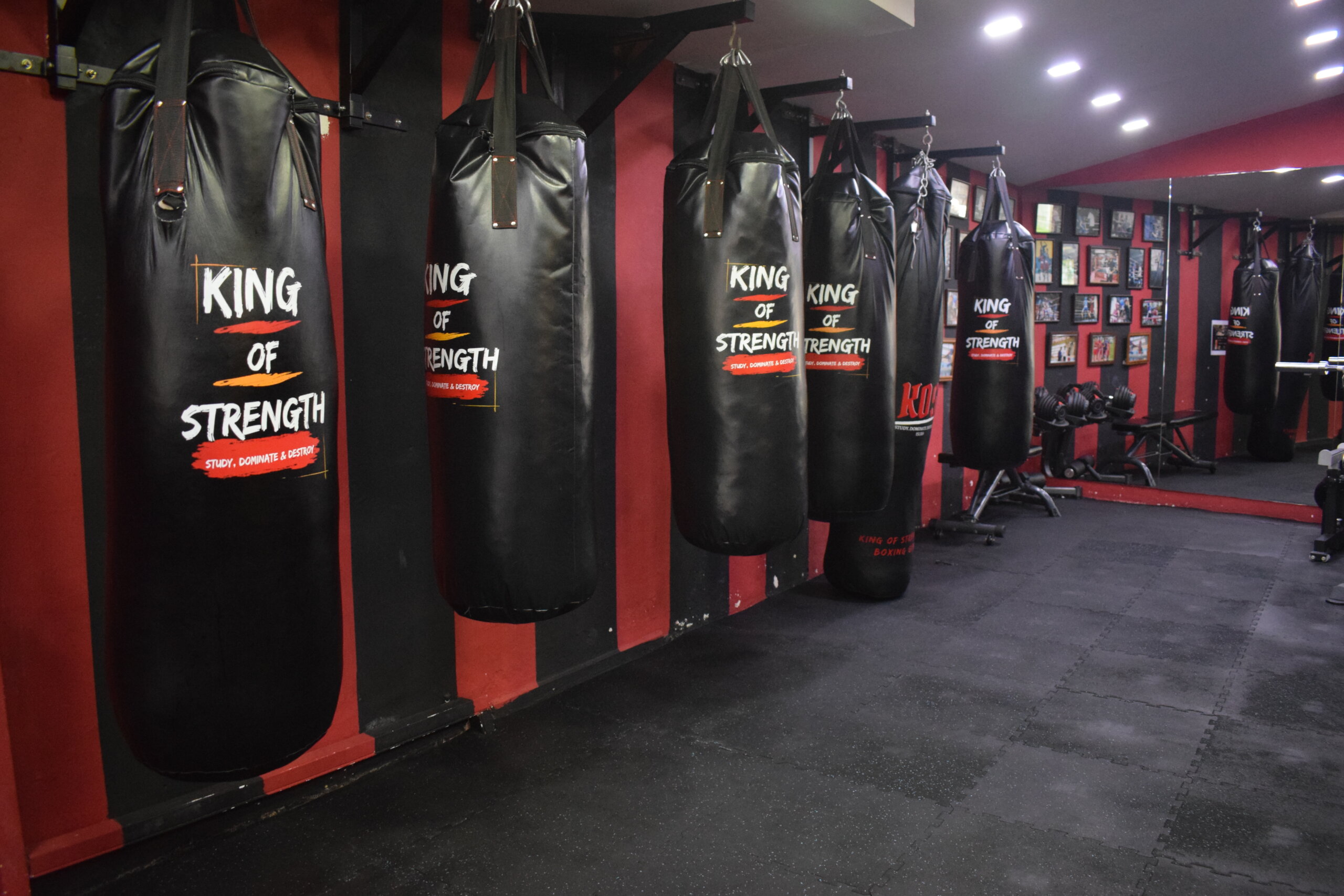 Heavy Bag vs Speed Bag: What You Need To Know